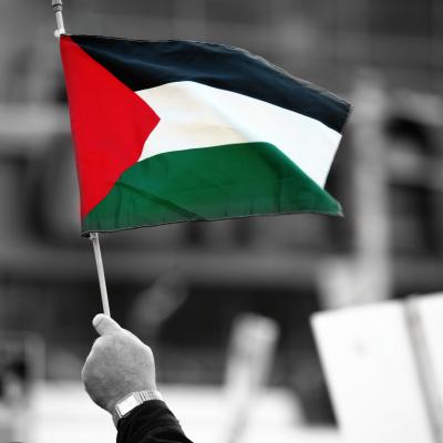 Let Us Free Palestine